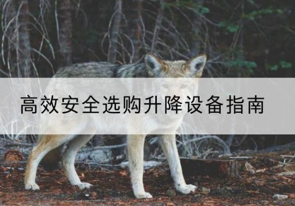 陆川升降货梯厂家推荐-*安全选购升降设备指南