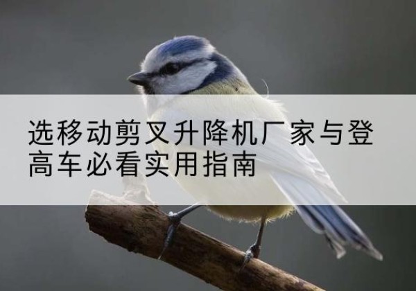 陆川电动升降机厂家-选移动剪叉升降机厂家与登高车必看实用指南