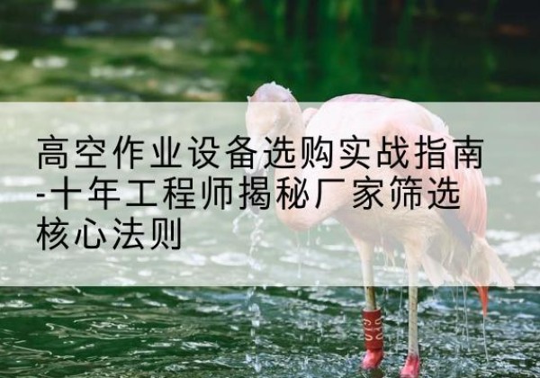陆川剪叉式升降机厂家-高空作业设备选购实战指南-十年工程师揭秘厂家筛选核心法则